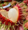 Jitlee (Thailand) Rambutan Hybrid Exotic Fruit Seeds, Pack of 5 - Fruit Seeds