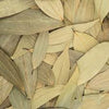 Whole Bay Leaves | Aromatic Dried Tej Patta | Traditional Spice for Biryani, Pulao, Curries, Stews, Soups and Gravies (100 Gram) - Spices - Spices