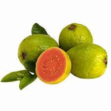 BRAZILIAN GUAVA FRUIT PLANT EXOTIC PLANTS