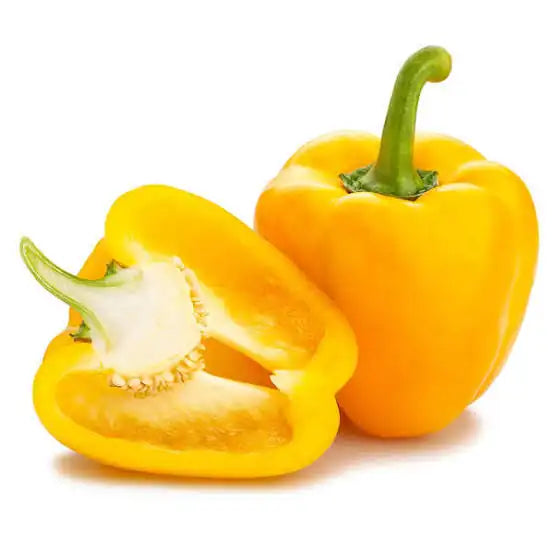 Organic Capsicum yellow F1 Hybrid seeds- Open Pollinated 10 seeds-vegetable seeds