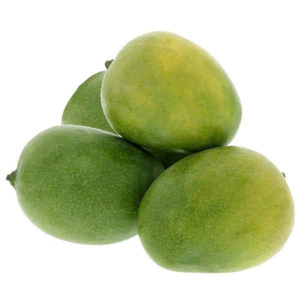 Mango Plant (Neelum) ) Live Mango 1 Plant (Mangifera indica) – Grafted Variety  -Fruit Plants