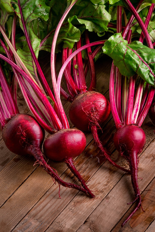 Organic Beetroot F1 Hybrid seeds- Open Pollinated 20 seeds-vegetable seeds