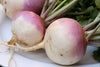 10 Vegetable Seeds Combo -Vegetable Seeds Combo