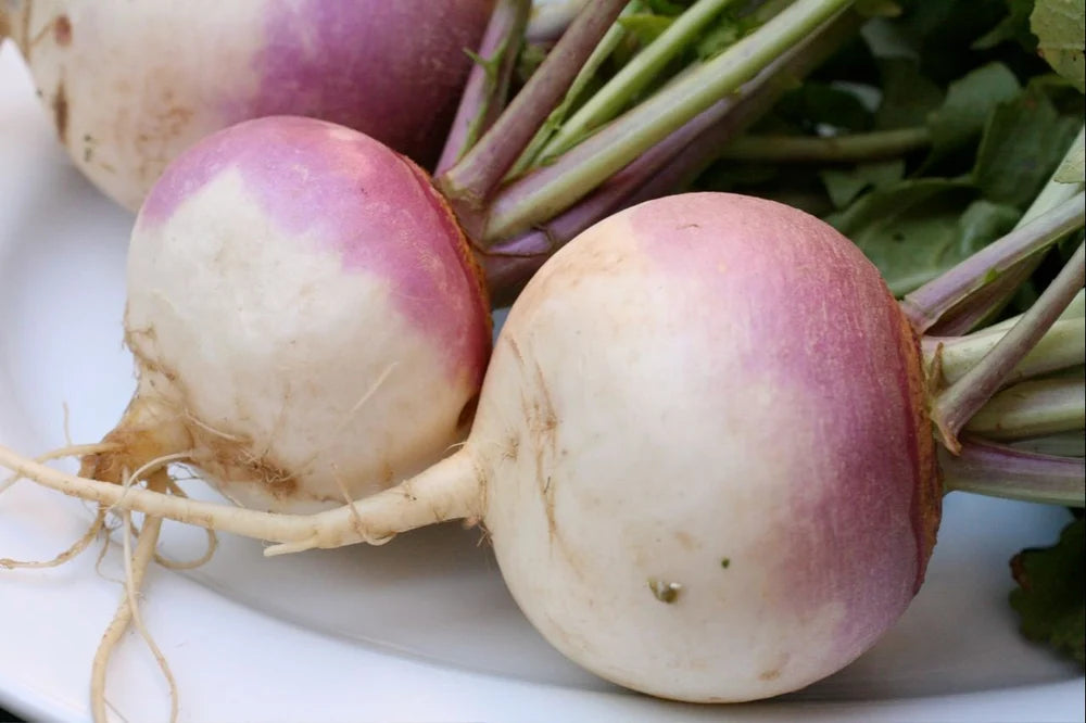 10 Vegetable Seeds Combo -Vegetable Seeds Combo