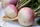 10 Vegetable Seeds Combo -Vegetable Seeds Combo