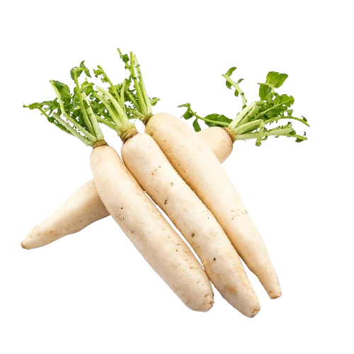 15 Vegetable Seeds Combo -Vegetable Seeds Combo