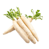 15 Vegetable Seeds Combo -Vegetable Seeds Combo