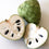 Cherimoya - Annona cherimola Fruit Plant