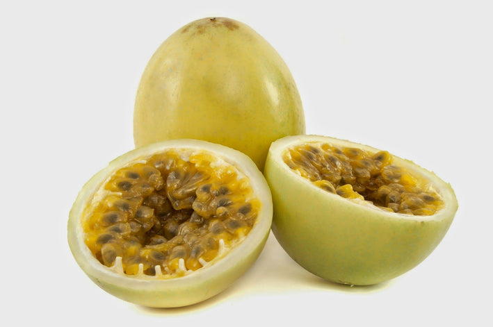 Yellow Passionfruit - Passiflora edulis Fruit Plant