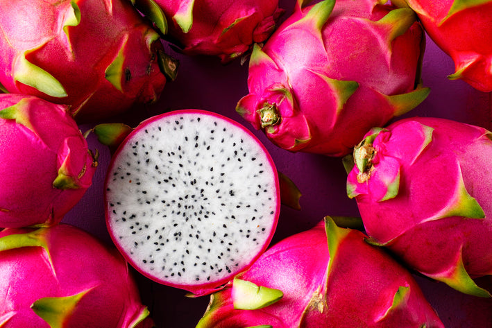 White Flesh Dragonfruit Plant