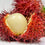 Hybrid Rambutan ( N18 ) Fruit Plant