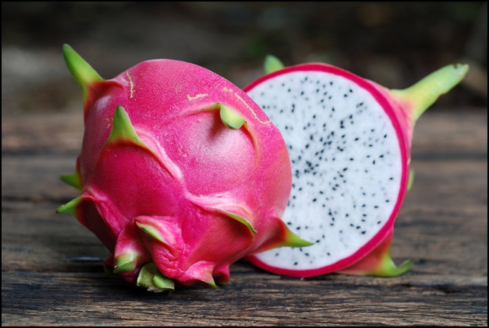 White Flesh Dragonfruit Plant