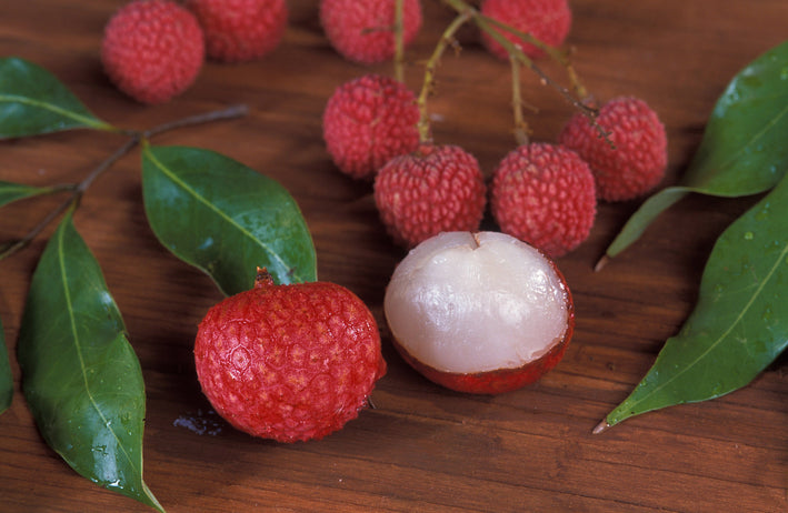 Lychee - Litchi chinensis Fruit Plant