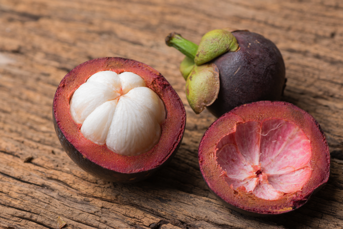 Purple Mangosteen - Garcinia mangostana Fruit Plant