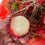 Hybrid Rambutan ( Caesar ) Fruit Plant