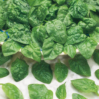 Palak Spinach 