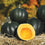 Squash " Honey Bear  " Exotic 10 Vegetable Seeds