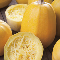 Squash 