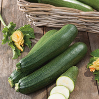 Zucchini 