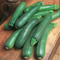 Zucchini 