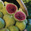 Fig " Ischia  " Exotic 30 Fruit Seeds