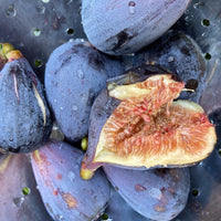 Fig 