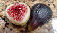 Fig 