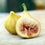 Fig " Gold  " Exotic 30 Fruit Seeds