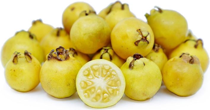 Guava " Lemon Guava  " Exotic 40 Fruit Seeds