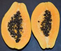 Papaya 