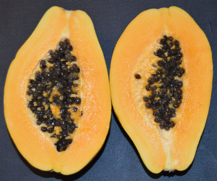 Papaya " Laie Gold  " Exotic 15 Fruit Seeds