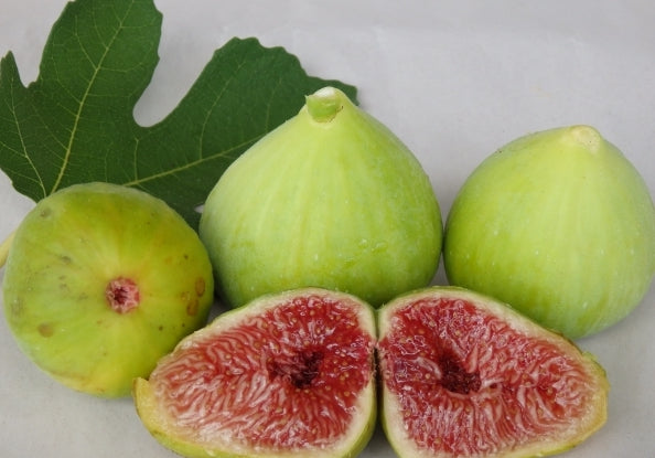 Fig " White Adriatic  " Exotic 30 Fruit Seeds