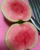 Guava 