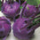 Knol Khol " Modrava  " Exotic 20 Vegetable Seeds