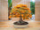 Maple " Yellow Green Maple  " Exotic 10 Tree Seeds