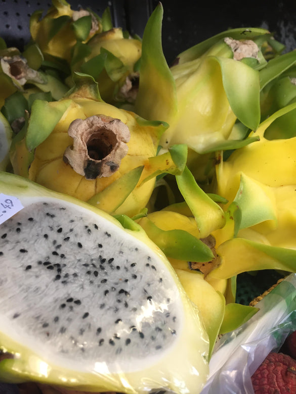 Yellow Dragonfruit Plant