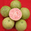 Hybrid Guava - Punjab Kiran Guava Exotic Fruit Plant