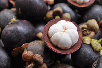 Purple Mangosteen - Garcinia mangostana Fruit Plant