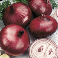 Onion 