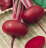 Beet Root 