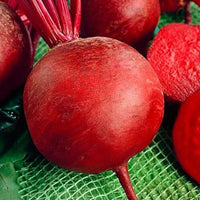 Beet Root 