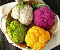 Cauli Flower 