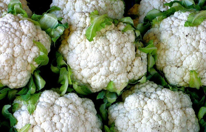 Cauli Flower " Cream White  " Exotic 20 Vegetable Seeds