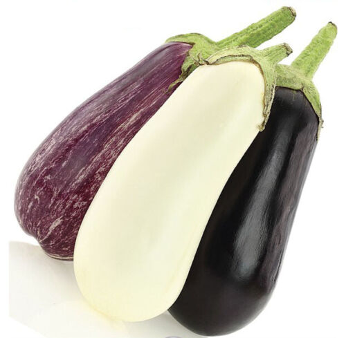 Eggplant " Long Mix  " Exotic 50 Vegetable Seeds