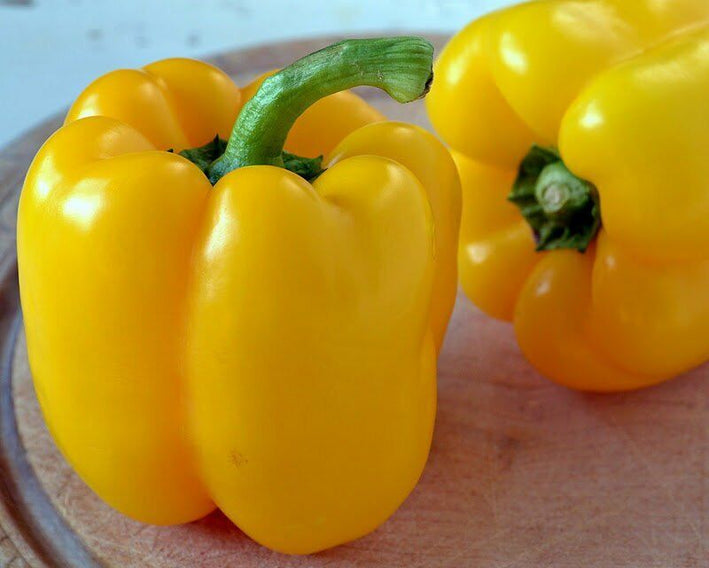 Bell Pepper " Yellow  " Exotic 20 Vegetable Seeds