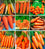 Carrot " Rainbow Mix  " Exotic 40 Vegetable Seeds