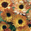 Calendula " Sunset Buff  " Exotic 30 Flower Seeds