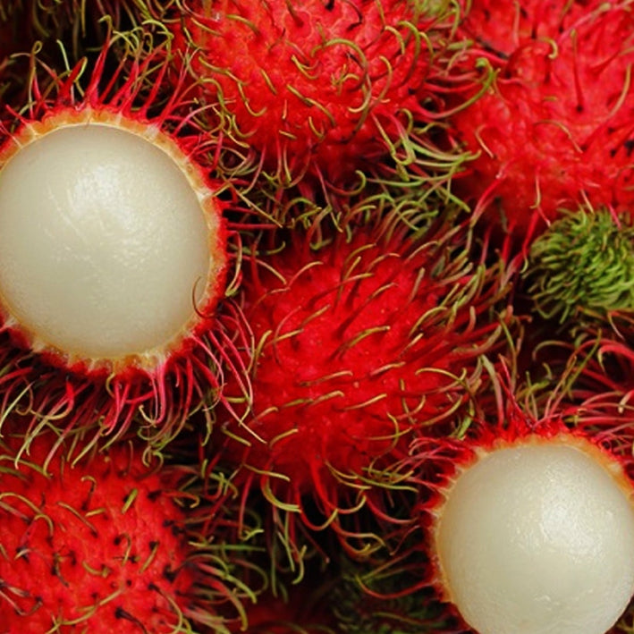 Hybrid Rambutan ( Binjai ) Fruit Plant