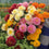 Chrysanthemum " Pennine Mixed " Exotic 30 Flower Seeds