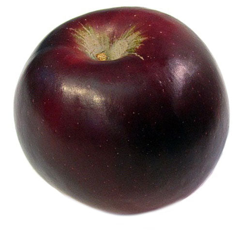 Apple " Arkansas Black  " Exotic 10 Fruit Seeds